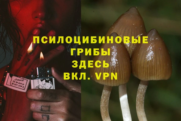 синтетический гашиш Алексин